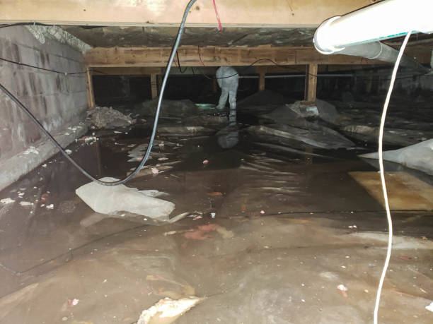 Faison, NC Water damage restoration Company